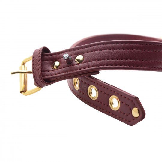 Strict Leather - Leather Luxury Burgundy Locking Collar